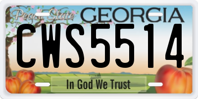 GA license plate CWS5514