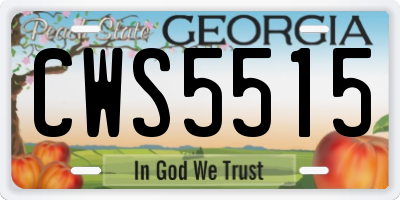 GA license plate CWS5515