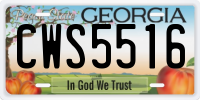 GA license plate CWS5516