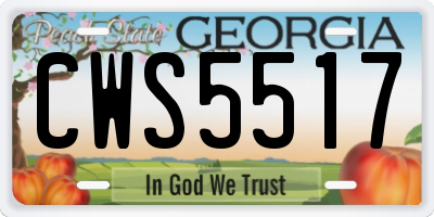 GA license plate CWS5517