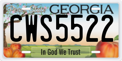 GA license plate CWS5522