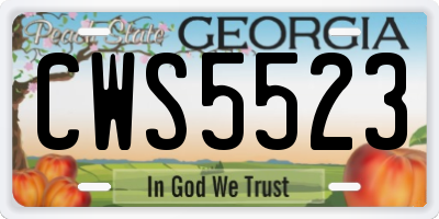 GA license plate CWS5523