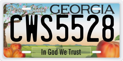GA license plate CWS5528