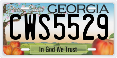 GA license plate CWS5529