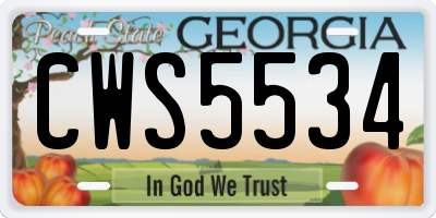 GA license plate CWS5534
