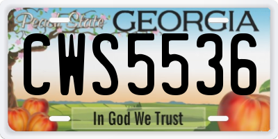 GA license plate CWS5536
