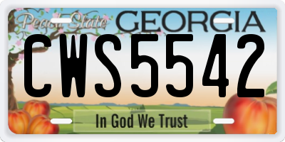 GA license plate CWS5542