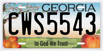 GA license plate CWS5543