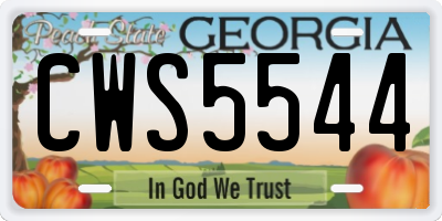 GA license plate CWS5544