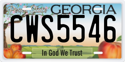 GA license plate CWS5546