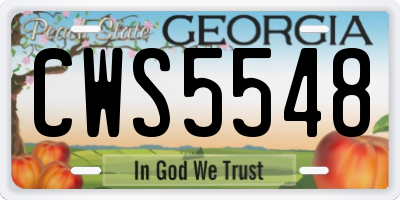 GA license plate CWS5548