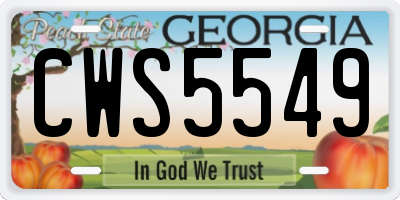 GA license plate CWS5549