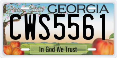 GA license plate CWS5561