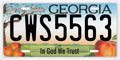 GA license plate CWS5563