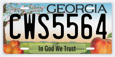 GA license plate CWS5564