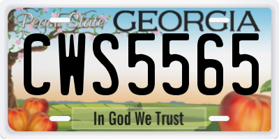 GA license plate CWS5565