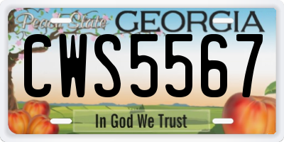 GA license plate CWS5567