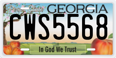 GA license plate CWS5568
