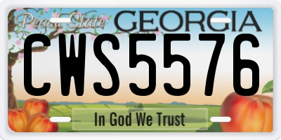 GA license plate CWS5576