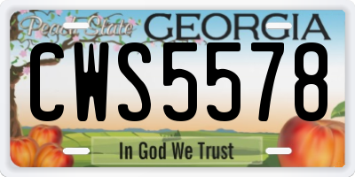GA license plate CWS5578