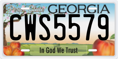 GA license plate CWS5579