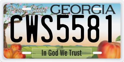 GA license plate CWS5581