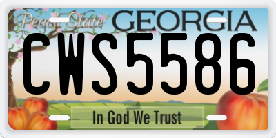 GA license plate CWS5586