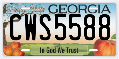 GA license plate CWS5588
