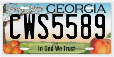 GA license plate CWS5589
