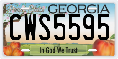 GA license plate CWS5595
