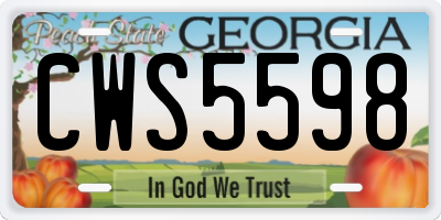 GA license plate CWS5598