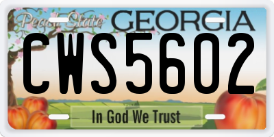 GA license plate CWS5602