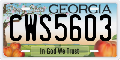 GA license plate CWS5603
