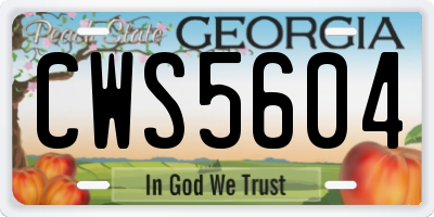 GA license plate CWS5604