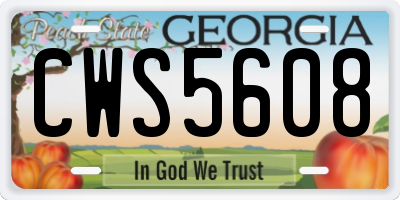 GA license plate CWS5608