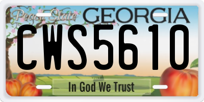 GA license plate CWS5610