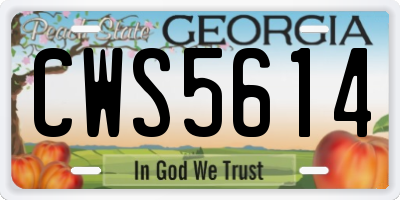 GA license plate CWS5614