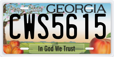 GA license plate CWS5615