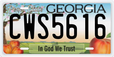 GA license plate CWS5616