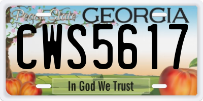 GA license plate CWS5617