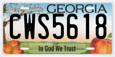 GA license plate CWS5618