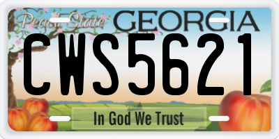 GA license plate CWS5621