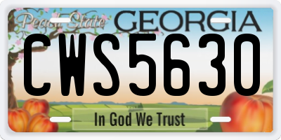 GA license plate CWS5630