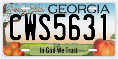 GA license plate CWS5631