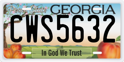 GA license plate CWS5632