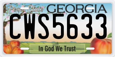 GA license plate CWS5633