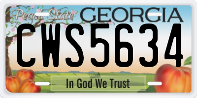 GA license plate CWS5634