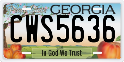 GA license plate CWS5636