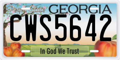 GA license plate CWS5642