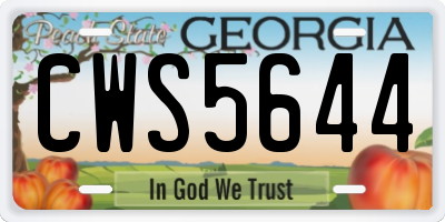 GA license plate CWS5644